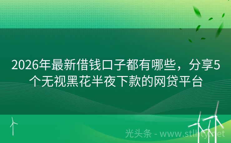 2026年最新借钱口子都有哪些，分享5个无视黑花半夜下款的网贷平台