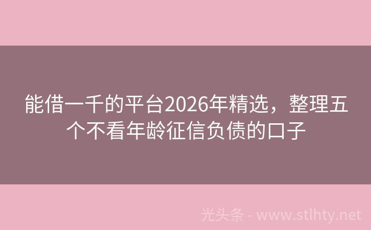 能借一千的平台2026年精选，整理五个不看年龄征信负债的口子