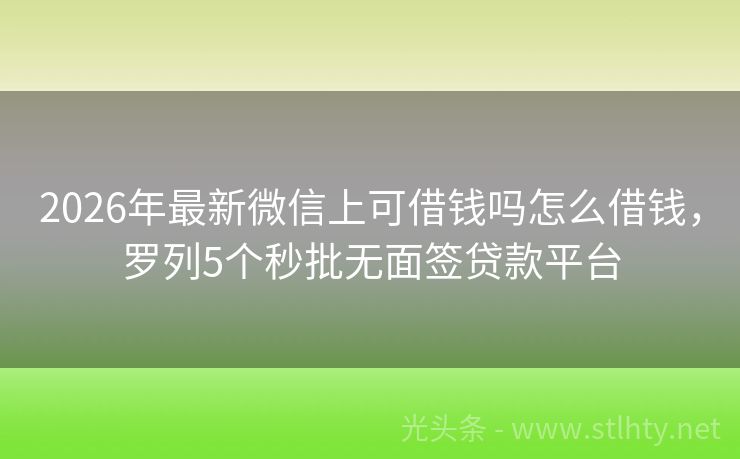 2026年最新微信上可借钱吗怎么借钱，罗列5个秒批无面签贷款平台