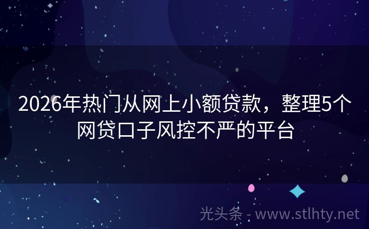 2026年热门从网上小额贷款，整理5个网贷口子风控不严的平台