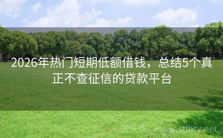 2026年热门短期低额借钱，总结5个真正不查征信的贷款平台