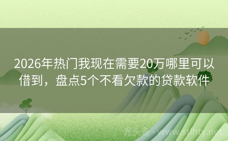 2026年热门我现在需要20万哪里可以借到，盘点5个不看欠款的贷款软件