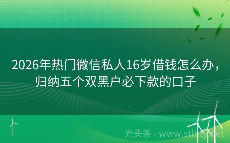 2026年热门微信私人16岁借钱怎么办，归纳五个双黑户必下款的口子