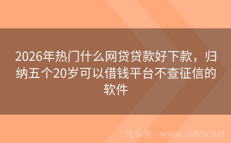 2026年热门什么网贷贷款好下款，归纳五个20岁可以借钱平台不查征信的软件