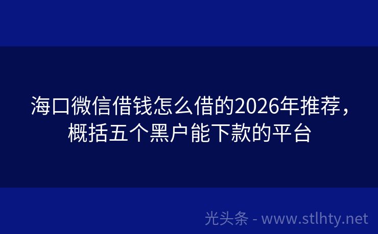 海口微信借钱怎么借的2026年推荐，概括五个黑户能下款的平台