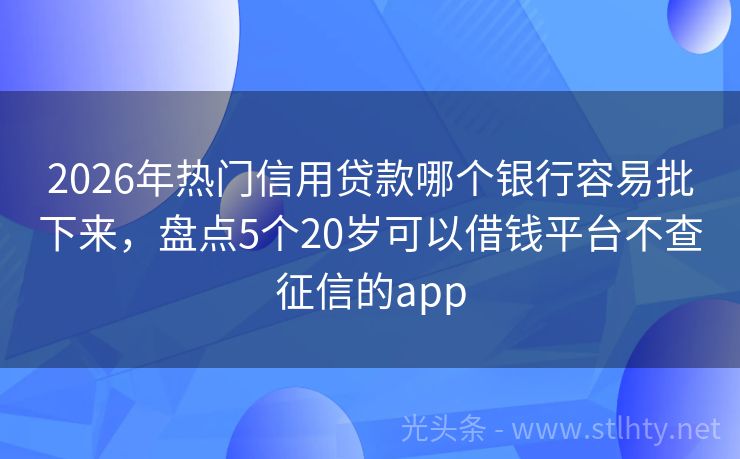 2026年热门信用贷款哪个银行容易批下来，盘点5个20岁可以借钱平台不查征信的app