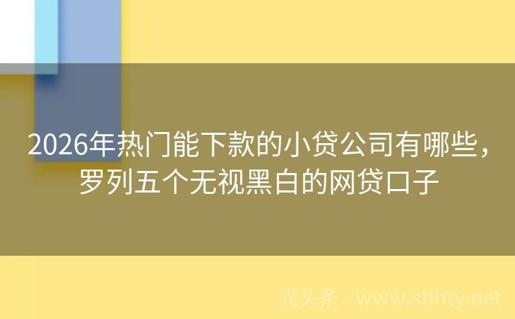 2026年热门能下款的小贷公司有哪些，罗列五个无视黑白的网贷口子