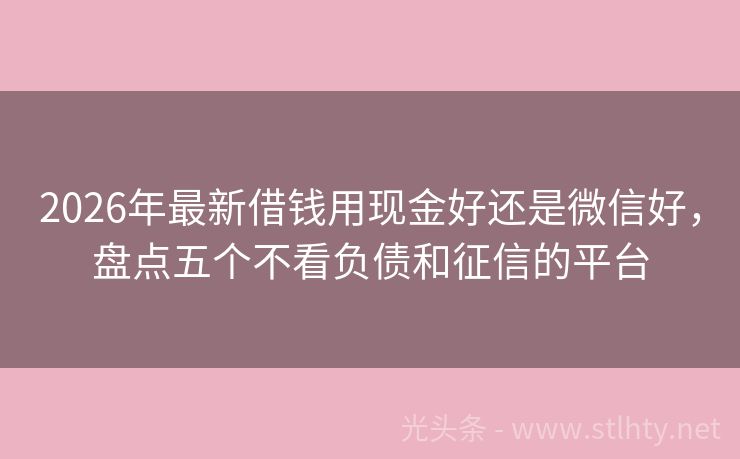 2026年最新借钱用现金好还是微信好，盘点五个不看负债和征信的平台