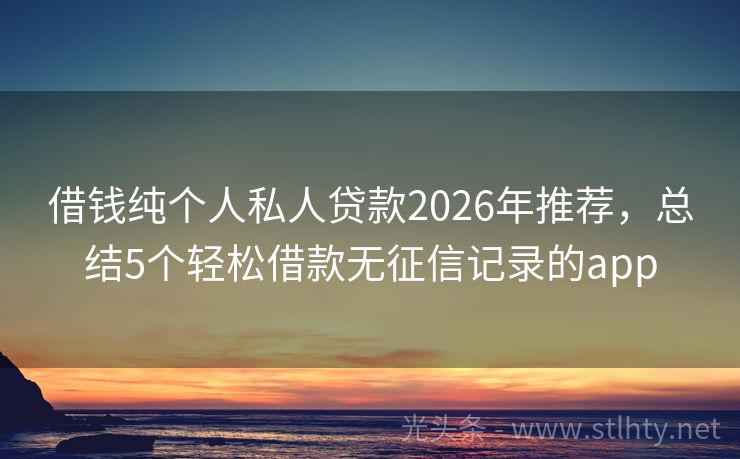 借钱纯个人私人贷款2026年推荐，总结5个轻松借款无征信记录的app