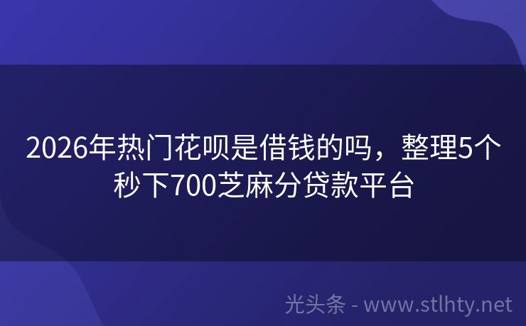 2026年热门花呗是借钱的吗，整理5个秒下700芝麻分贷款平台