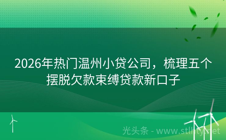 2026年热门温州小贷公司，梳理五个摆脱欠款束缚贷款新口子