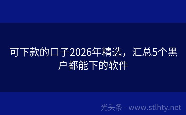 可下款的口子2026年精选，汇总5个黑户都能下的软件