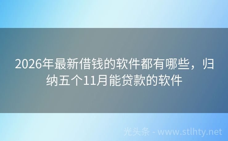 2026年最新借钱的软件都有哪些，归纳五个11月能贷款的软件