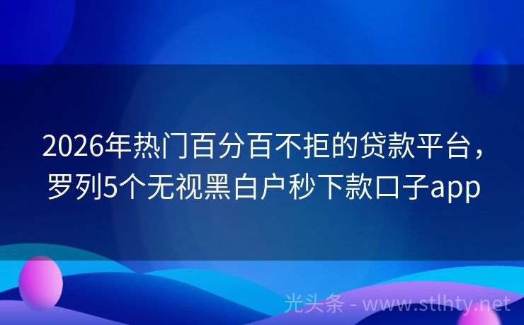 2026年热门百分百不拒的贷款平台，罗列5个无视黑白户秒下款口子app