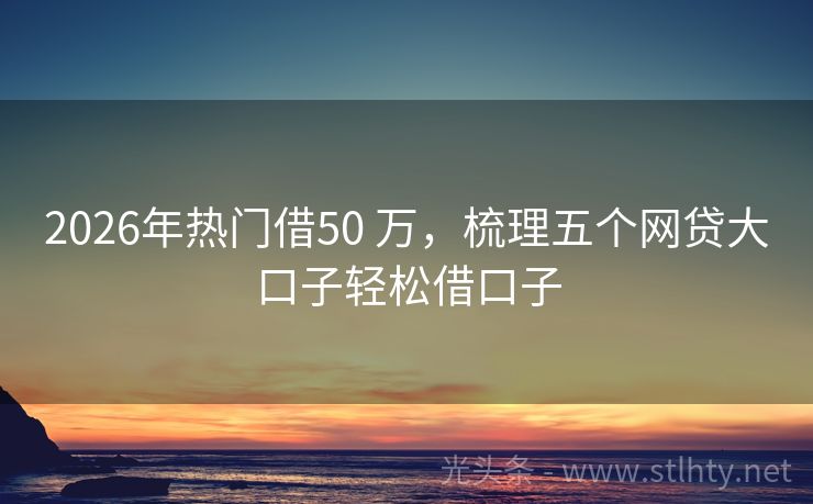 2026年热门借50 万，梳理五个网贷大口子轻松借口子