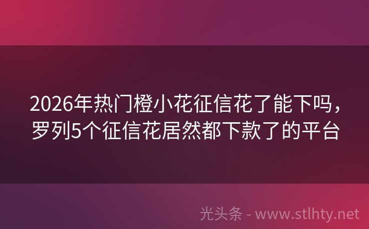 2026年热门橙小花征信花了能下吗，罗列5个征信花居然都下款了的平台