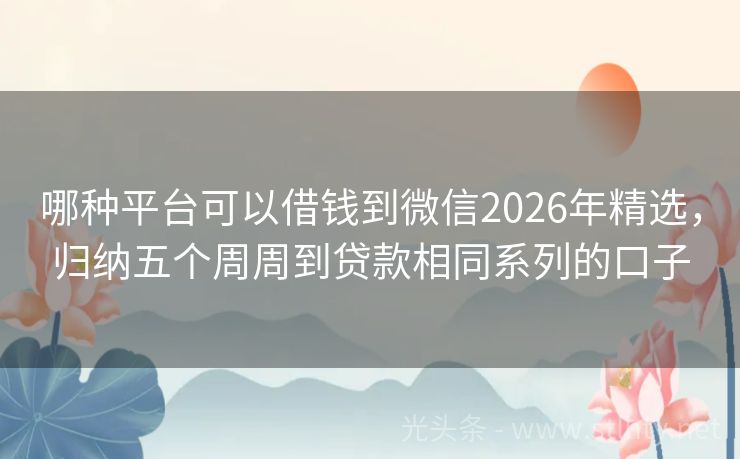 哪种平台可以借钱到微信2026年精选，归纳五个周周到贷款相同系列的口子
