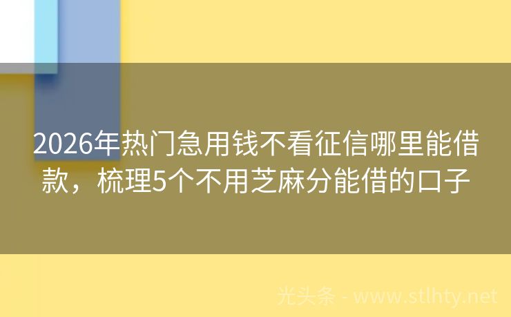 2026年热门急用钱不看征信哪里能借款，梳理5个不用芝麻分能借的口子