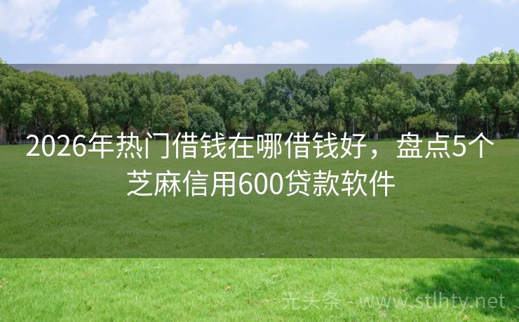 2026年热门借钱在哪借钱好，盘点5个芝麻信用600贷款软件