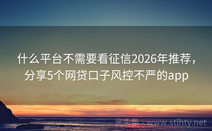 什么平台不需要看征信2026年推荐，分享5个网贷口子风控不严的app