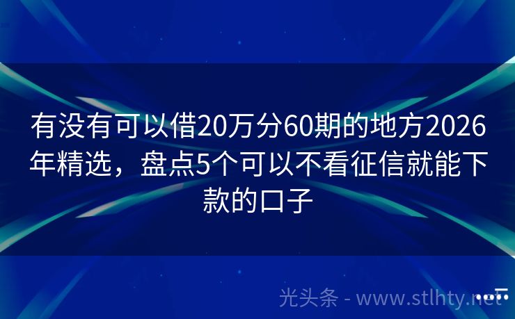 有没有可以借20万分60期的地方2026年精选，盘点5个可以不看征信就能下款的口子