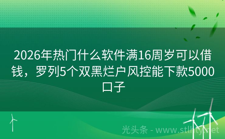 2026年热门什么软件满16周岁可以借钱，罗列5个双黑烂户风控能下款5000口子