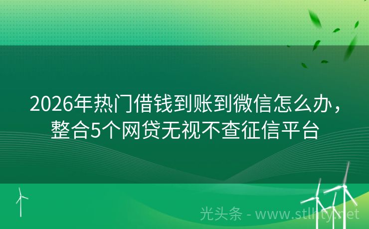 2026年热门借钱到账到微信怎么办，整合5个网贷无视不查征信平台