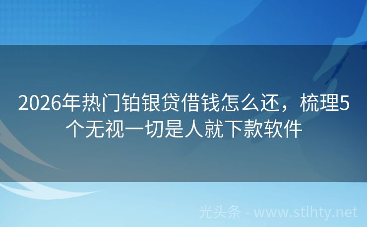 2026年热门铂银贷借钱怎么还，梳理5个无视一切是人就下款软件