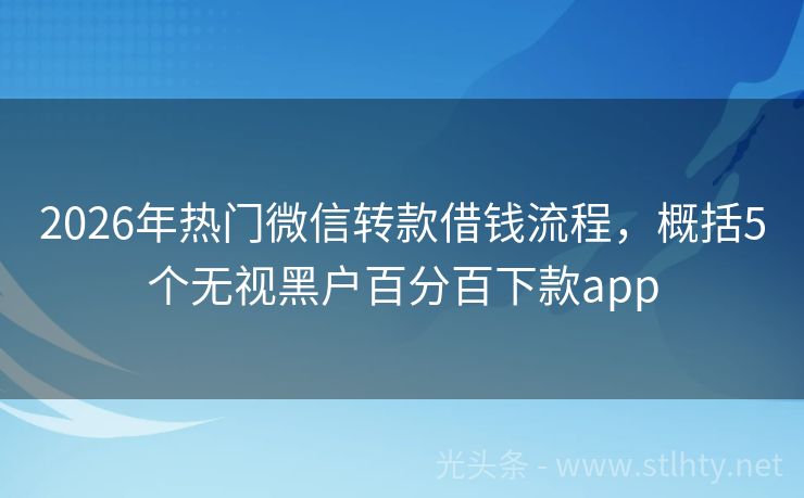 2026年热门微信转款借钱流程，概括5个无视黑户百分百下款app