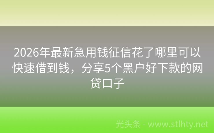 2026年最新急用钱征信花了哪里可以快速借到钱，分享5个黑户好下款的网贷口子