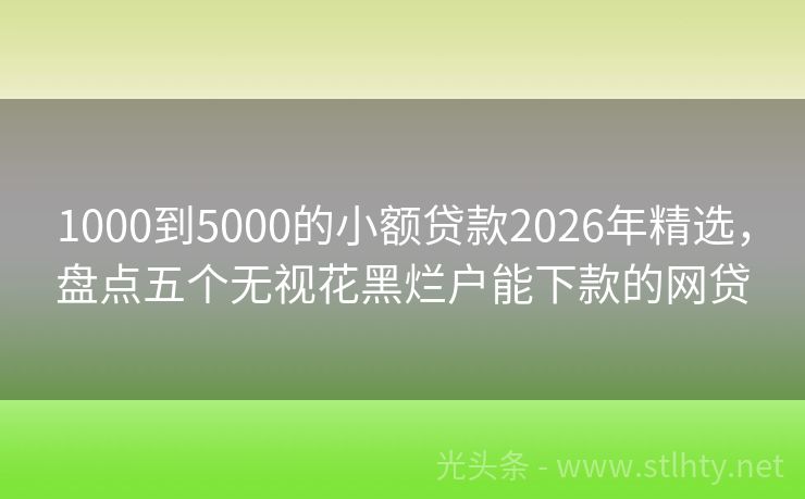 1000到5000的小额贷款2026年精选，盘点五个无视花黑烂户能下款的网贷
