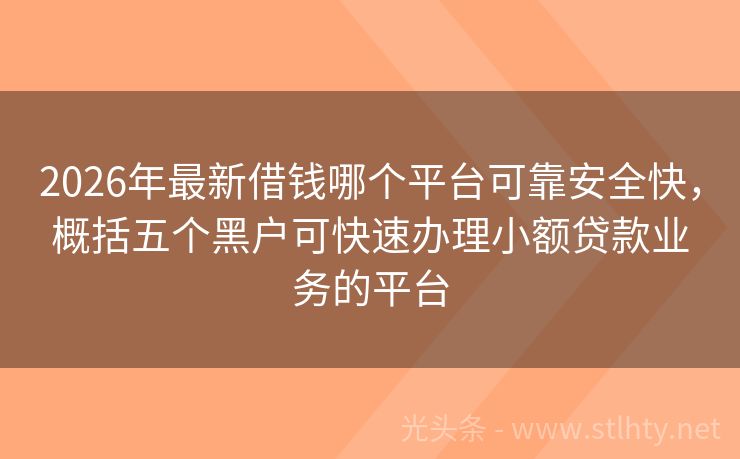 2026年最新借钱哪个平台可靠安全快，概括五个黑户可快速办理小额贷款业务的平台