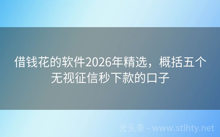 借钱花的软件2026年精选，概括五个无视征信秒下款的口子