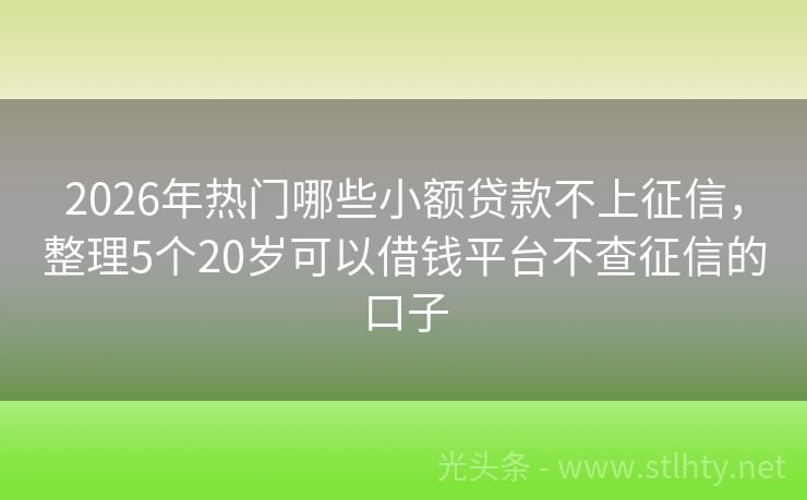 2026年热门哪些小额贷款不上征信，整理5个20岁可以借钱平台不查征信的口子