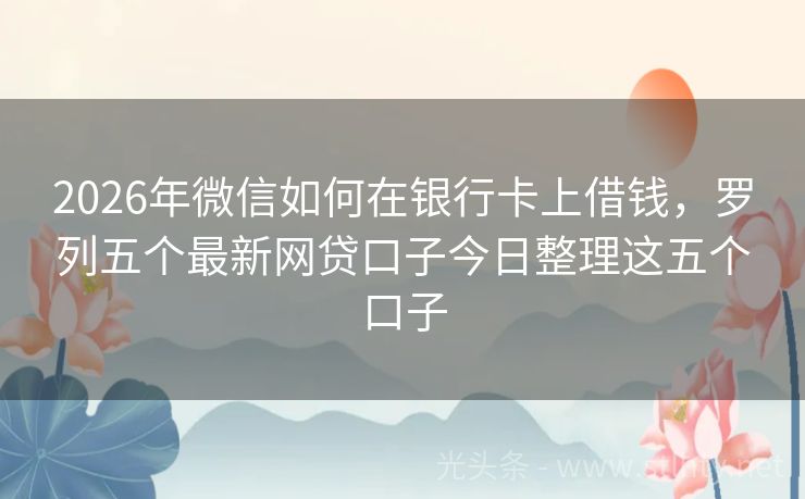 2026年微信如何在银行卡上借钱，罗列五个最新网贷口子今日整理这五个口子