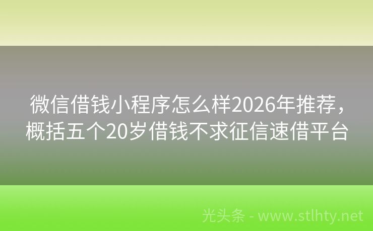 微信借钱小程序怎么样2026年推荐，概括五个20岁借钱不求征信速借平台