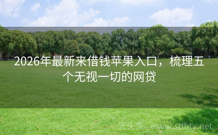 2026年最新来借钱苹果入口，梳理五个无视一切的网贷