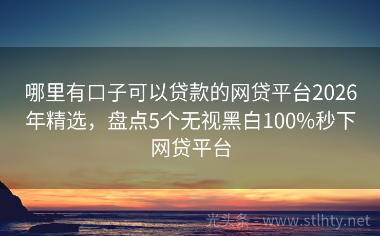 哪里有口子可以贷款的网贷平台2026年精选，盘点5个无视黑白100%秒下网贷平台