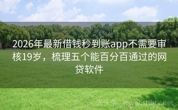 2026年最新借钱秒到账app不需要审核19岁，梳理五个能百分百通过的网贷软件