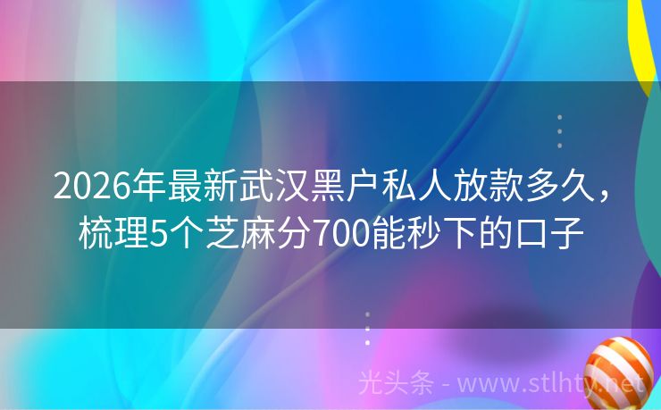 2026年最新武汉黑户私人放款多久，梳理5个芝麻分700能秒下的口子