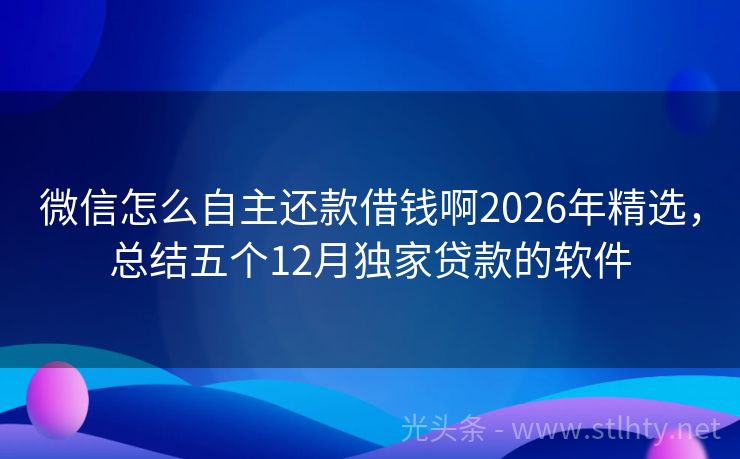 微信怎么自主还款借钱啊2026年精选，总结五个12月独家贷款的软件