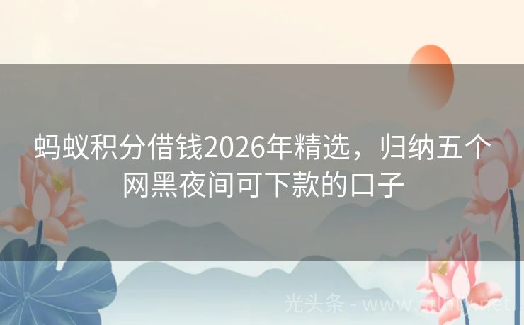 蚂蚁积分借钱2026年精选，归纳五个网黑夜间可下款的口子
