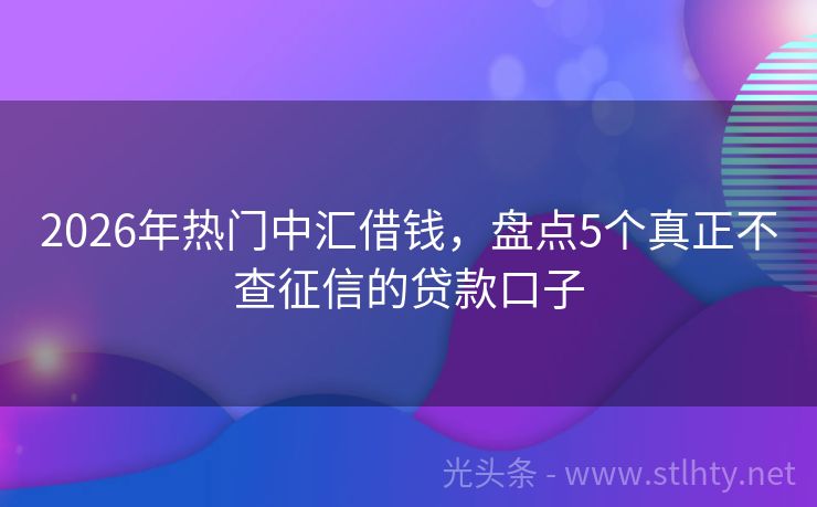 2026年热门中汇借钱，盘点5个真正不查征信的贷款口子