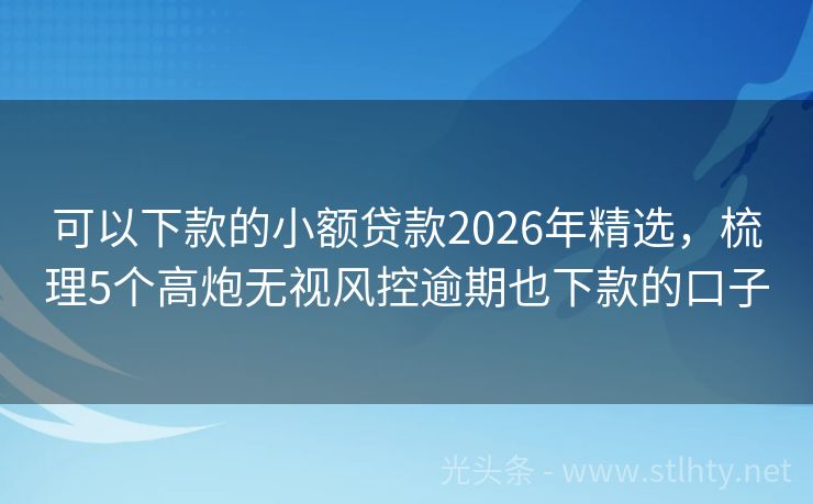 可以下款的小额贷款2026年精选，梳理5个高炮无视风控逾期也下款的口子