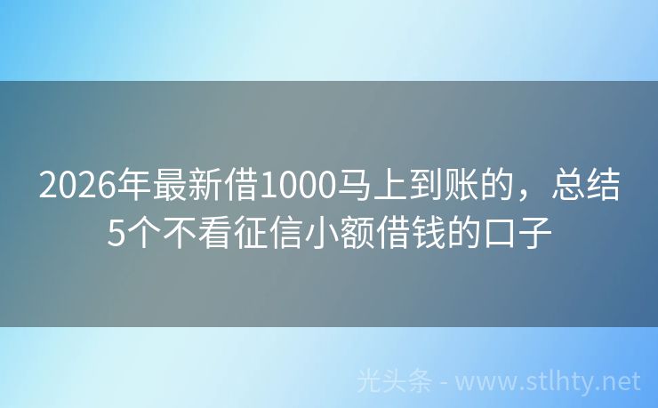 2026年最新借1000马上到账的，总结5个不看征信小额借钱的口子
