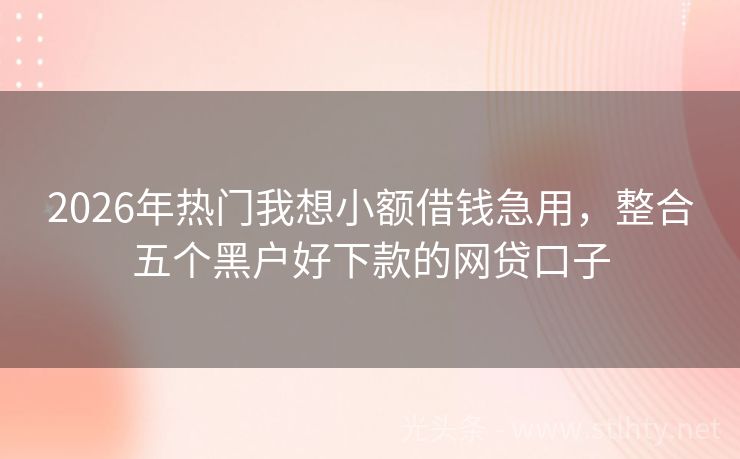 2026年热门我想小额借钱急用，整合五个黑户好下款的网贷口子