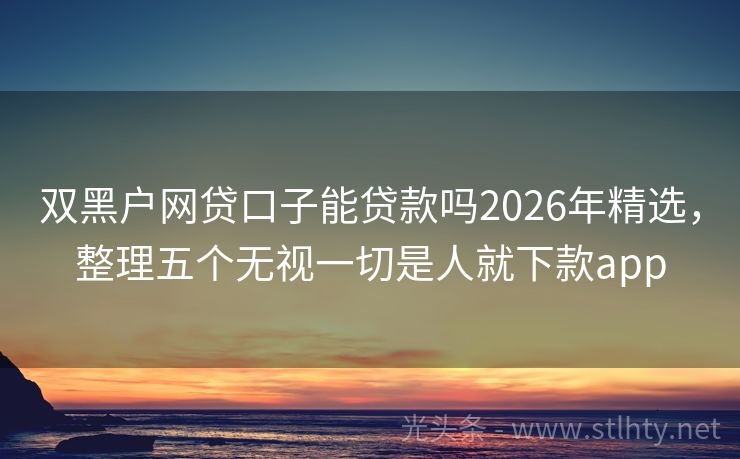 双黑户网贷口子能贷款吗2026年精选，整理五个无视一切是人就下款app