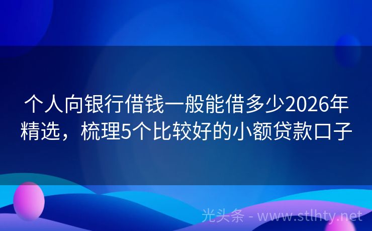 个人向银行借钱一般能借多少2026年精选，梳理5个比较好的小额贷款口子