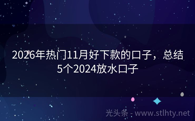 2026年热门11月好下款的口子，总结5个2024放水口子