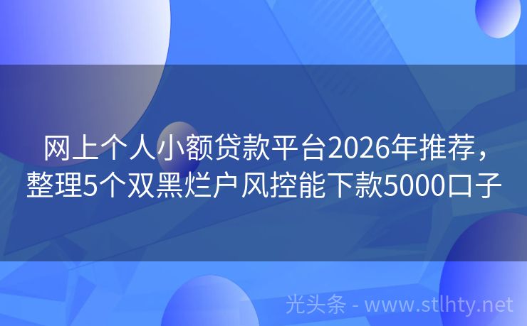 网上个人小额贷款平台2026年推荐，整理5个双黑烂户风控能下款5000口子